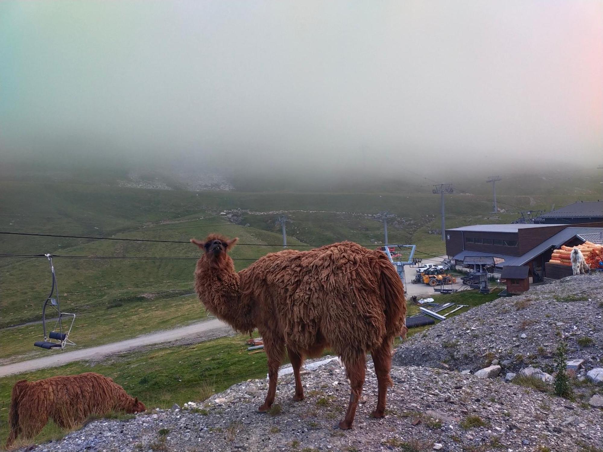 Le Petit Studio Du Tourmalet Pied Des Pistes - لا مونجي المظهر الخارجي الصورة
