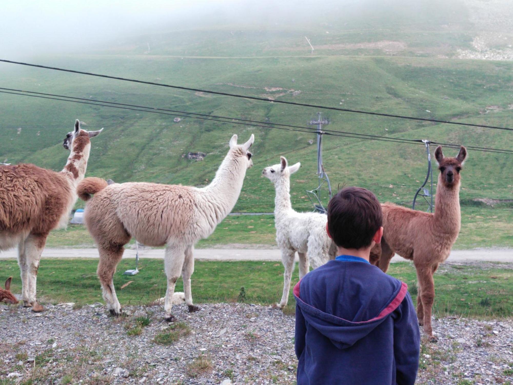 Le Petit Studio Du Tourmalet Pied Des Pistes - لا مونجي المظهر الخارجي الصورة